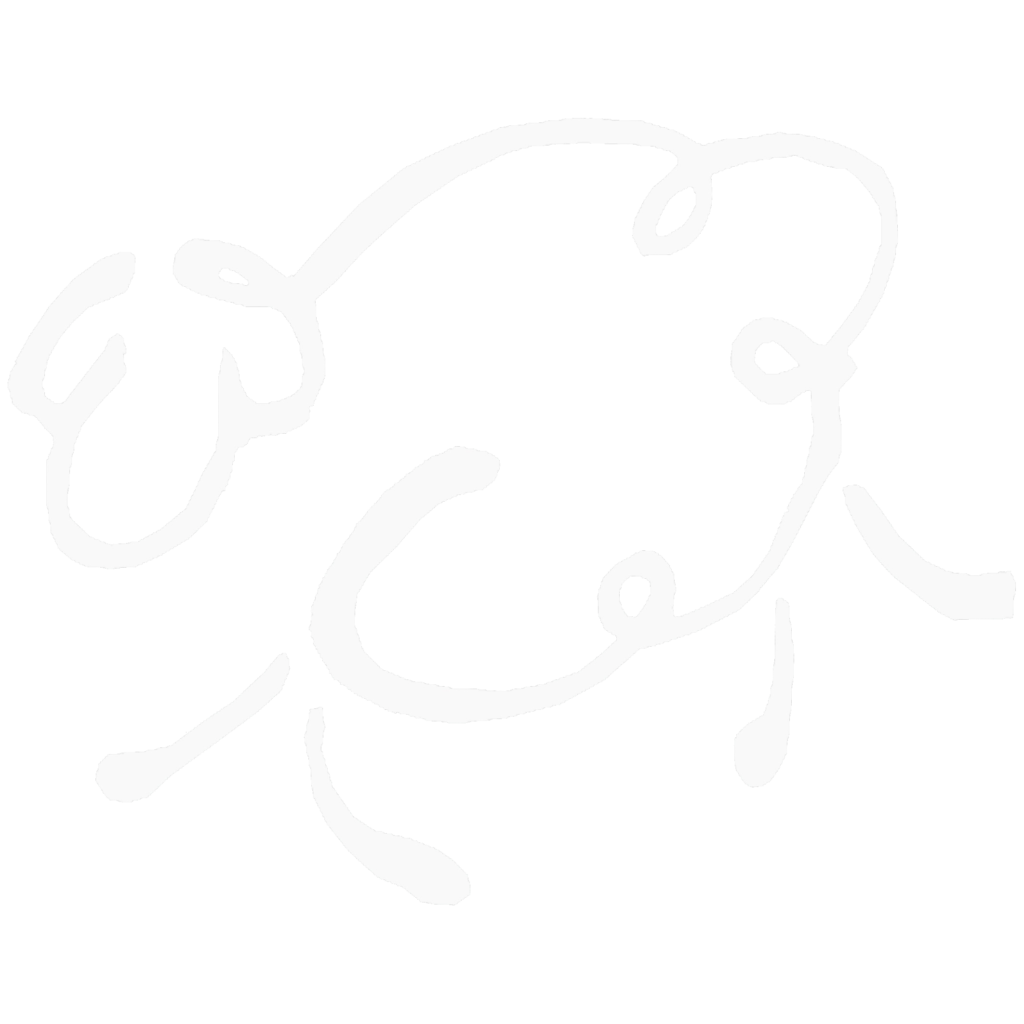 logo blanc anaka laines